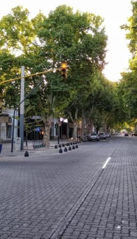 WhatsApp-Image-2020-03-20-at-19.19.09