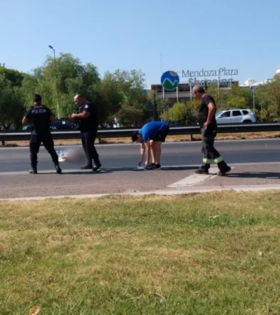 WhatsApp-Image-2020-03-13-at-3.45.51-PM