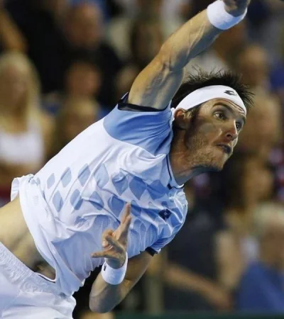 Leonardo-Mayer