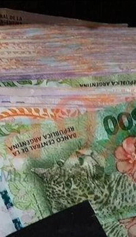 anses-ingreso-familiar-de-emergencia-2020