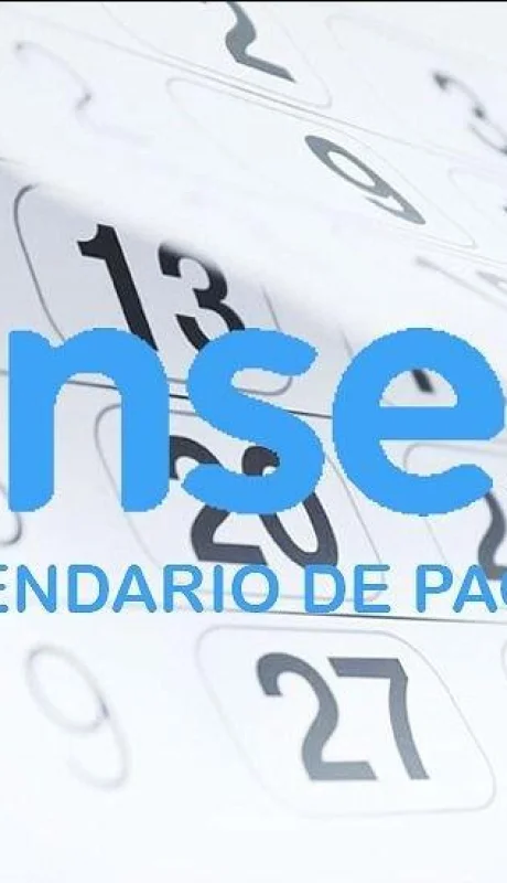 consulta-bono-ife-anses