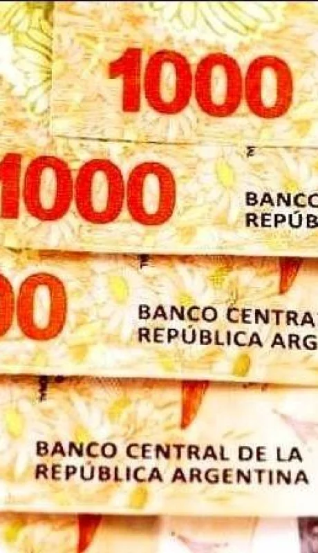 consulta--anses-bono-extraordinario-de-10000