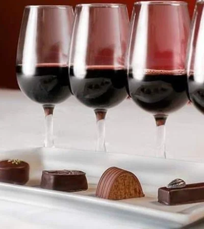 chocolate-wine-pairing-4-reds002