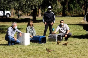 Mendoza liberó aves en cautiverio para celebrar el Día del Animal