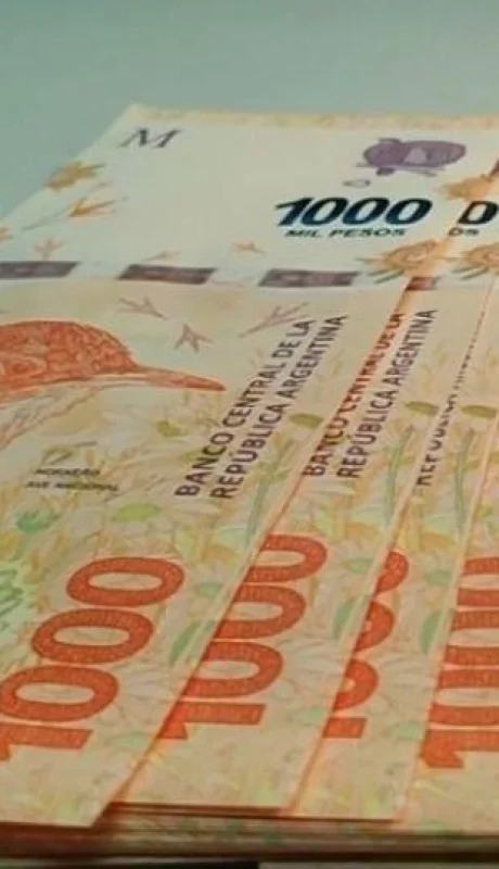 Las AUH de ANSES pueden entregar el formulario de libreta hasta el 31 de diciembre de 2025.