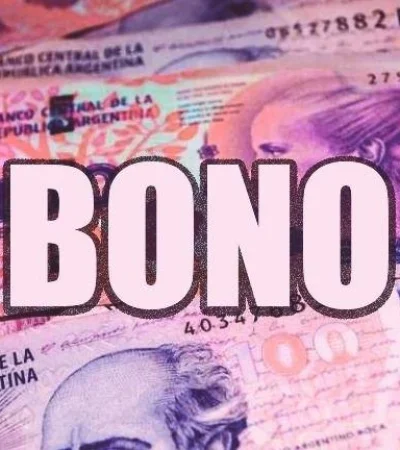 padron-ingreso-familiar-de-emergencia