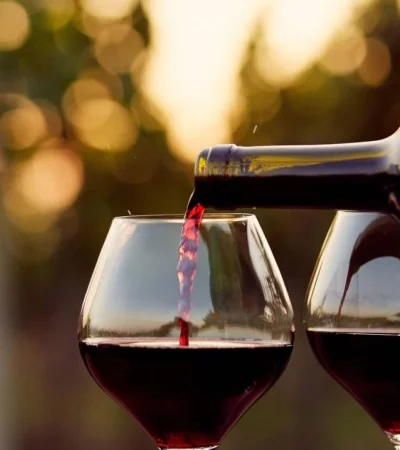 platos-recetas-malbec-vino-argentina-comida