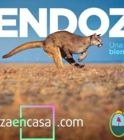 mendoza-en-casa-bienestar-animal