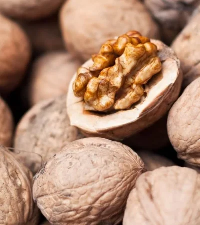 nueces-nogales-metropol-mendoza-inversión