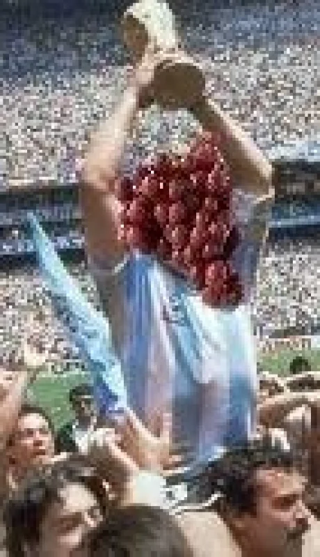 Mendoza-Mundial-de-provincias-Twitter