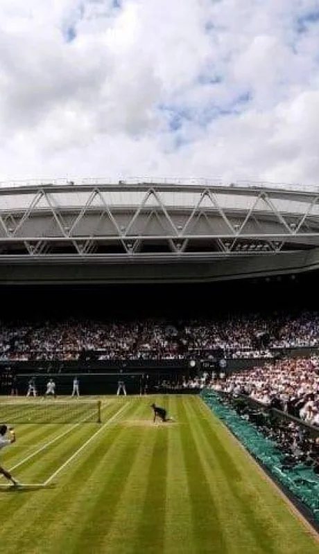 Wimbledon-seguro