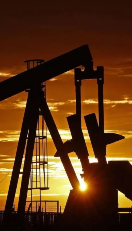 petróleo-opep-argentina-precio