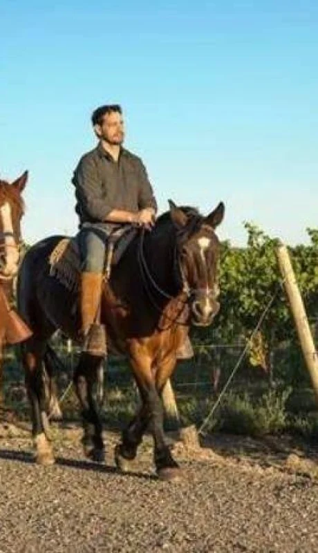Enoturismo-turismo-del-vino-cabalgatas