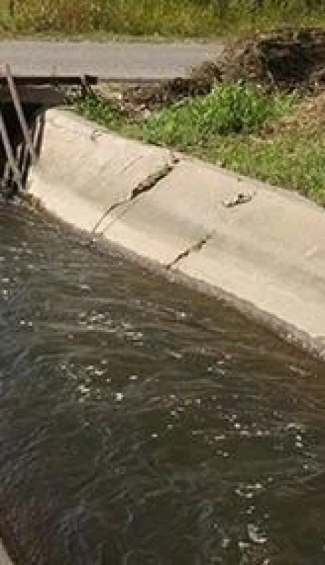 WhatsApp-Image-2020-05-17-at-8.22.32-PM