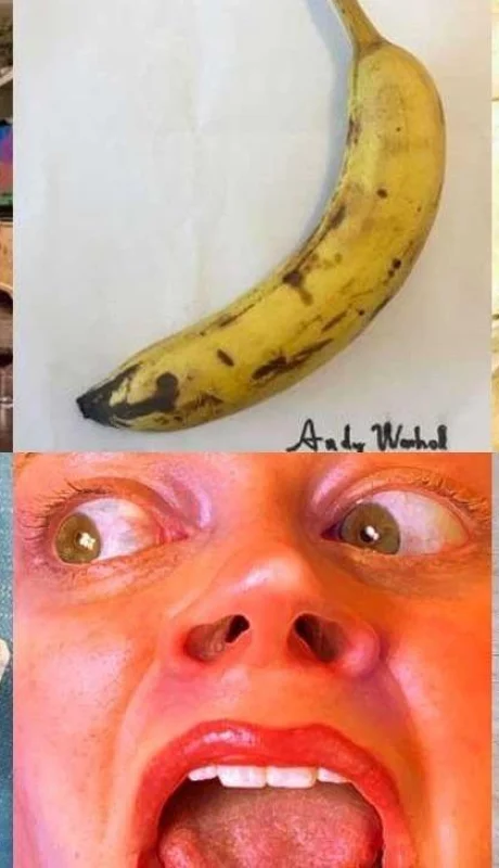 desafío-viral-discos-casa-fotos-imitaciones