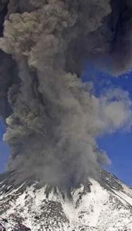 WhatsApp-Image-2020-05-22-at-13.48.42