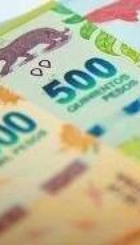 anses-auh-cuanto-cobro-junio