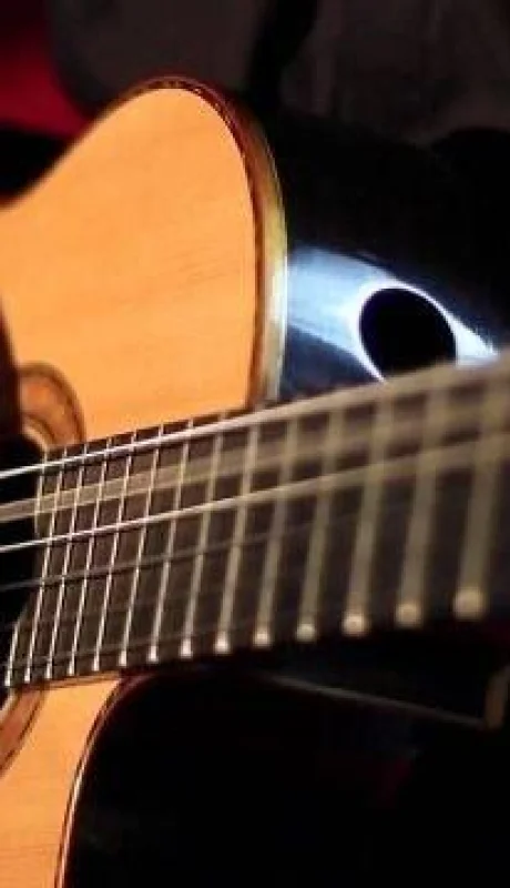 mendoza-protocolo-actividades-artísticas-culturales-habilitación