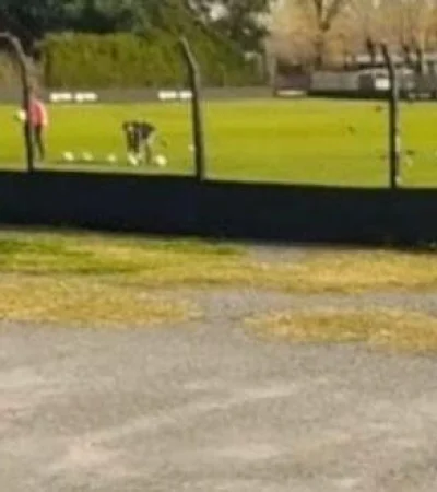 Deportivo-Riestra-AFA-coronavirus