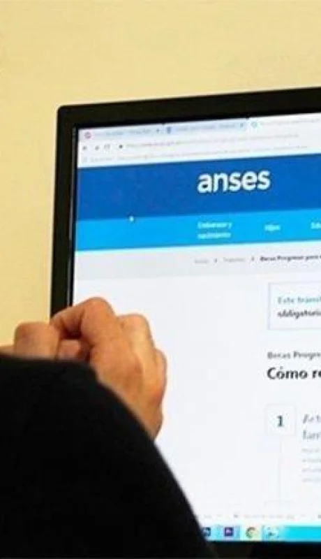 tramite-ingreso-familiar-de-emergencia-anses