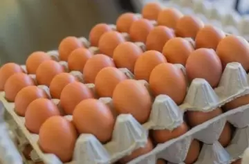 Cada vez más huevos: el consumo en Argentina creció 180% desde 2002