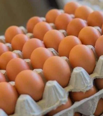 Crece la tendencia a comprar por maples