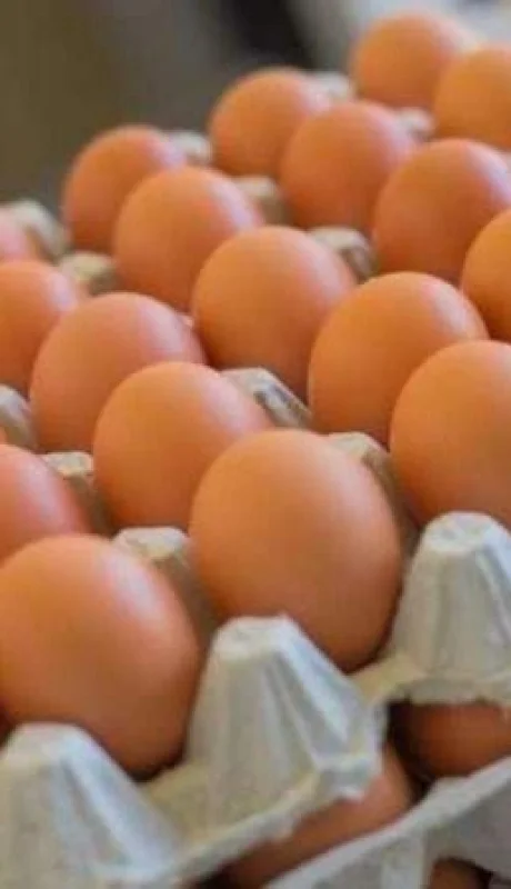 Crece la tendencia a comprar por maples