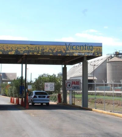 11-06-2020_rosario_imagen_de_la_planta