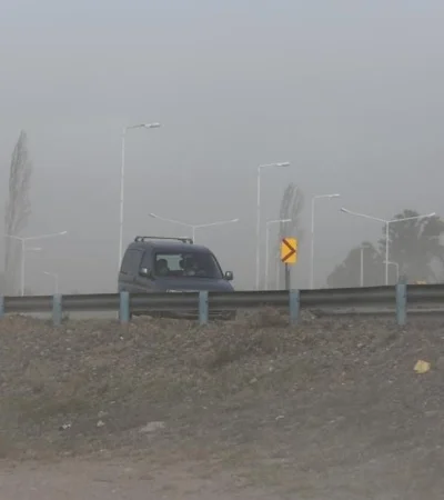 WhatsApp-Image-2019-07-21-at-14.28.25-(2)