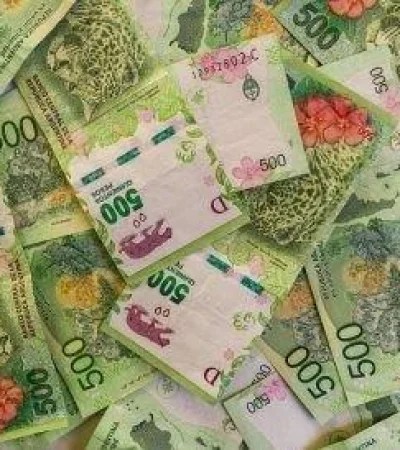 anses-atp-cuanto-cobro