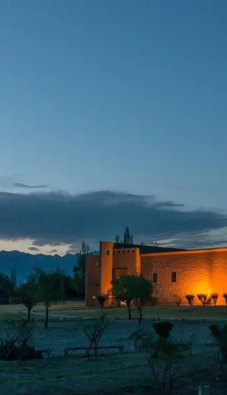 Vicentin-bodega-mendoza