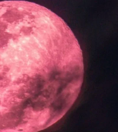 Luna-de-Fresa-Argentina