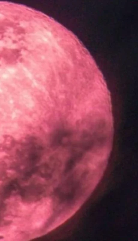 Luna-de-Fresa-Argentina