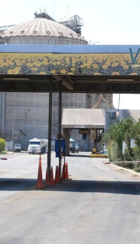 11-06-2020_rosario_imagenes_de_la_planta(2)