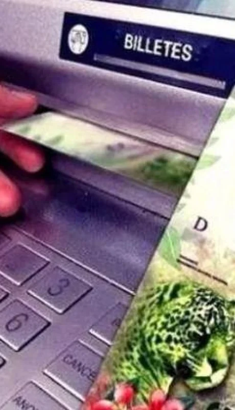 bono-extraordinario-anses-junio