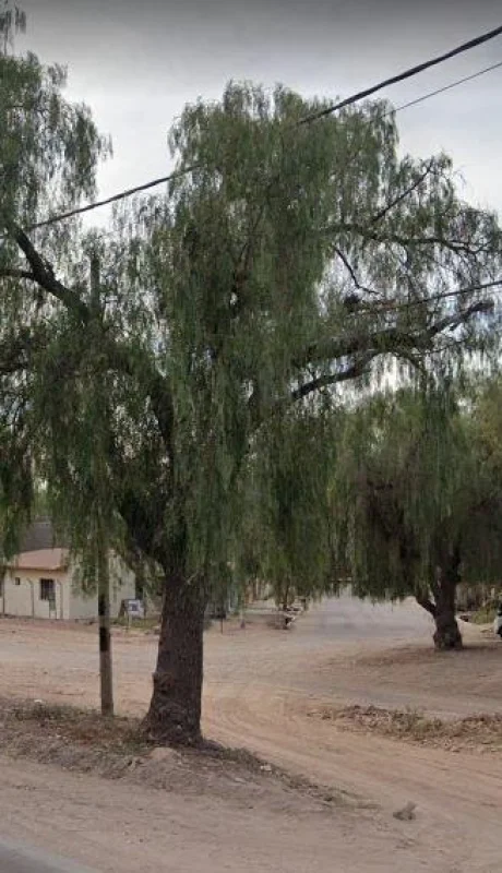 luján-moto-accidente-delivery-muerte