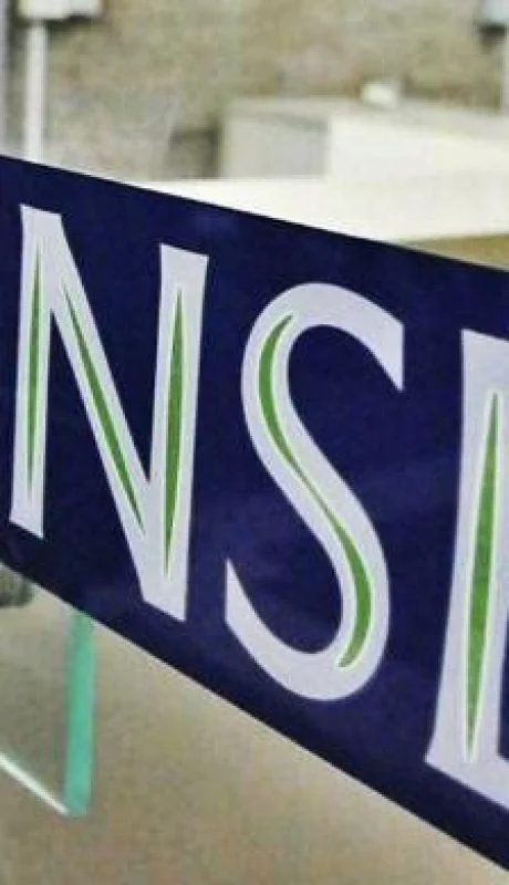 anses-ife-renta-basica