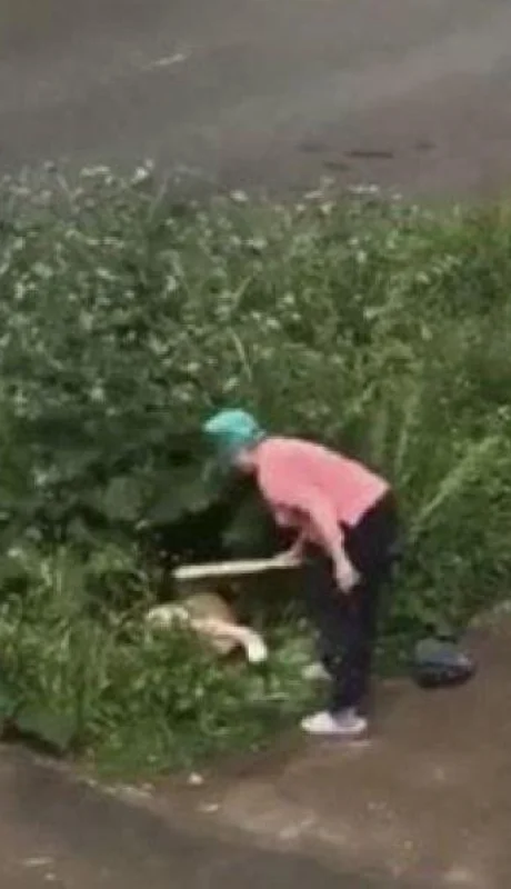 sexo-via-publica-rusia