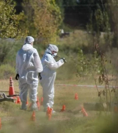 3c730ee0-2937-4450-b869-d72516dcd552