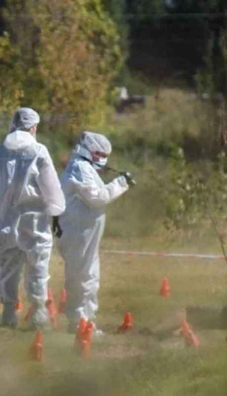 3c730ee0-2937-4450-b869-d72516dcd552