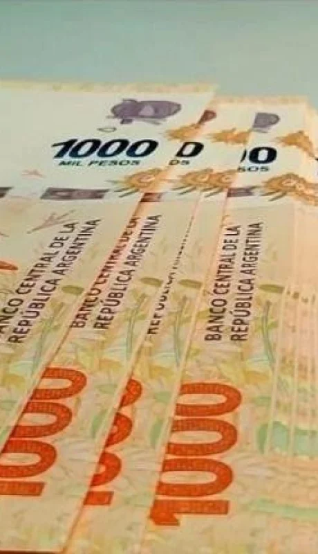 Dinero-prestamo-ANSES