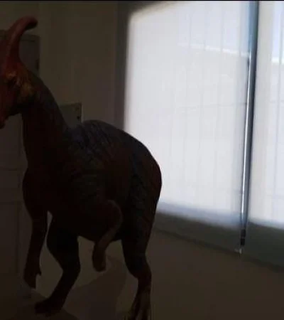 106625274_3104766386277294_3624806873003544559_n