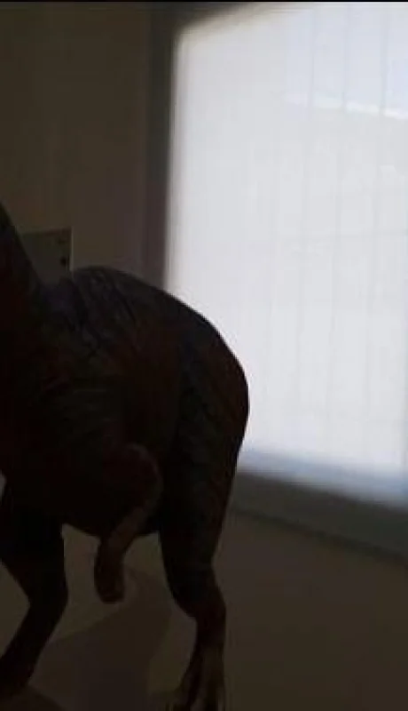 106625274_3104766386277294_3624806873003544559_n