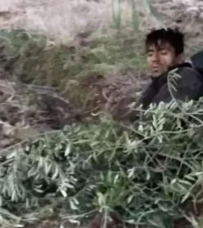 20190919173859_39303943_0_body