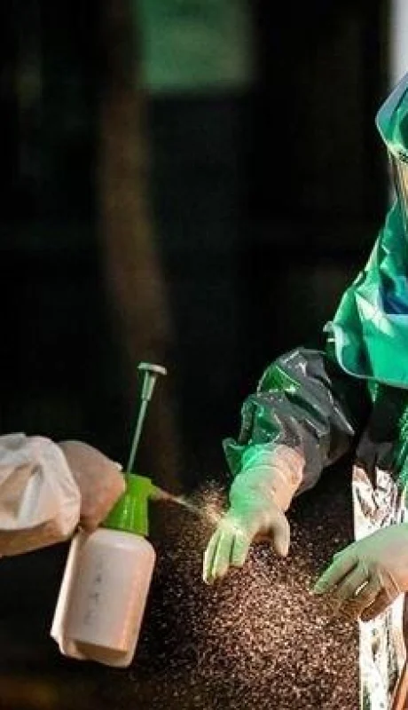 coronavirus-argentina