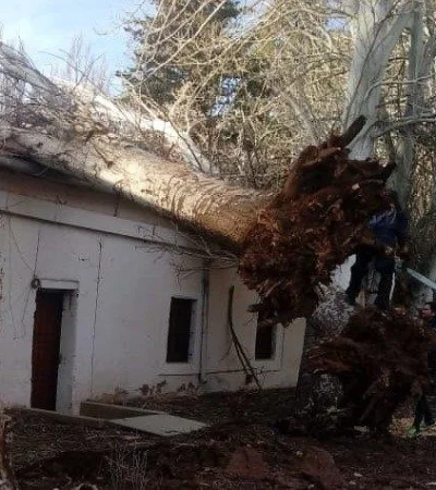 WhatsApp Image 2020-07-10 at 12.39.52 (1)