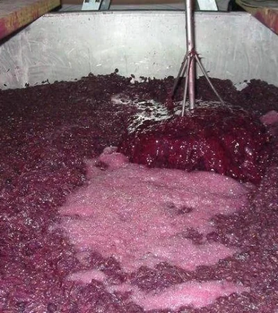 mendoza-Banco-de-Vinos