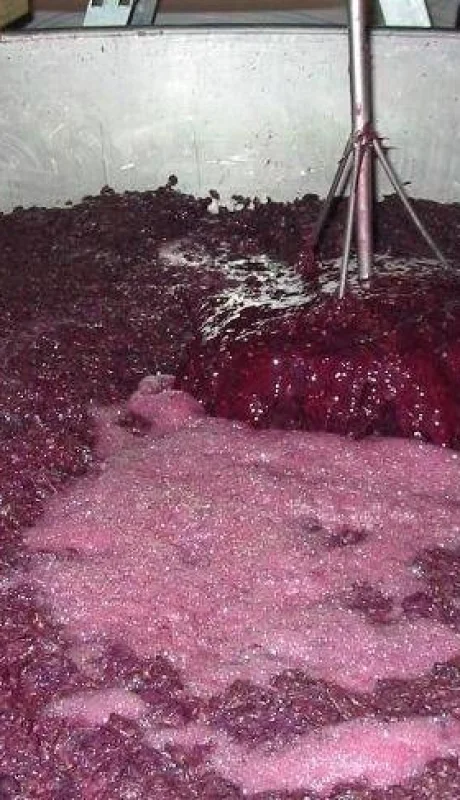 mendoza-Banco-de-Vinos