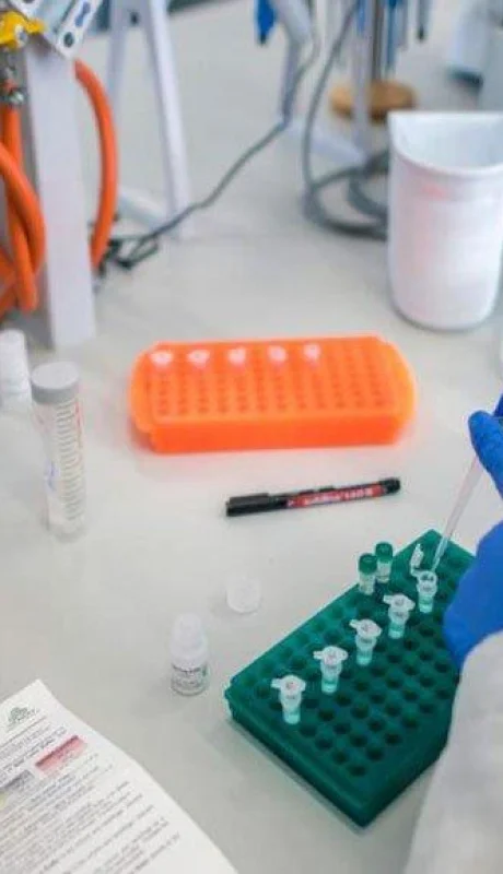 coronavirus-argentina