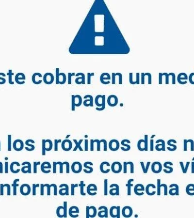 IFE-ANSES-Cartel-Pago